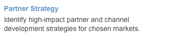 Partner Strategy
Identify high-impact partner and channel development strategies for chosen markets. 
